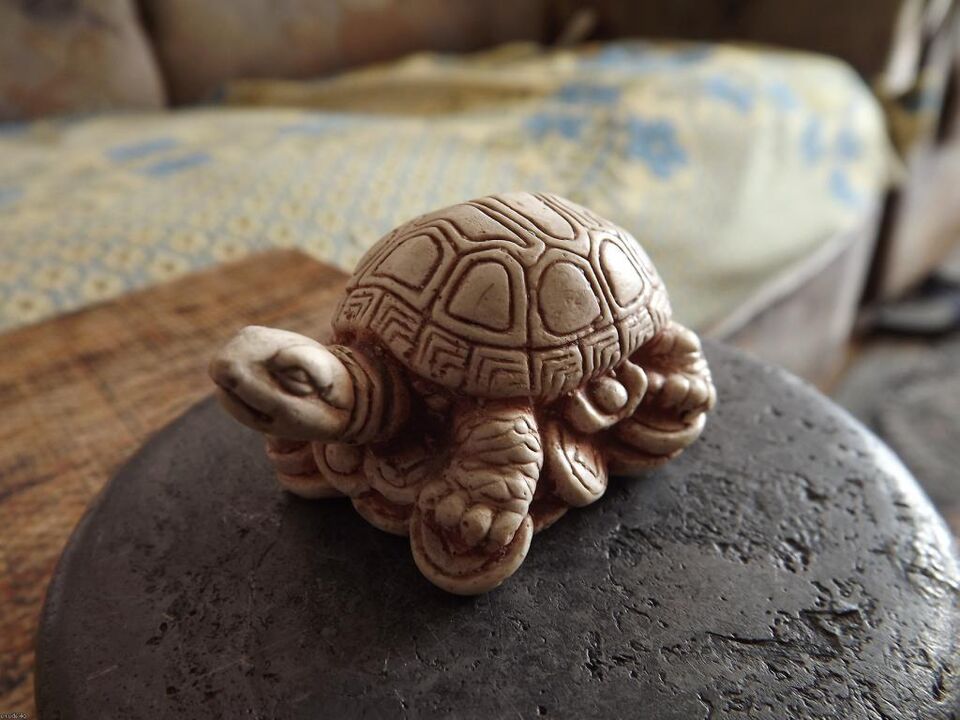 statuetta di tartaruga come amuleto di buona fortuna